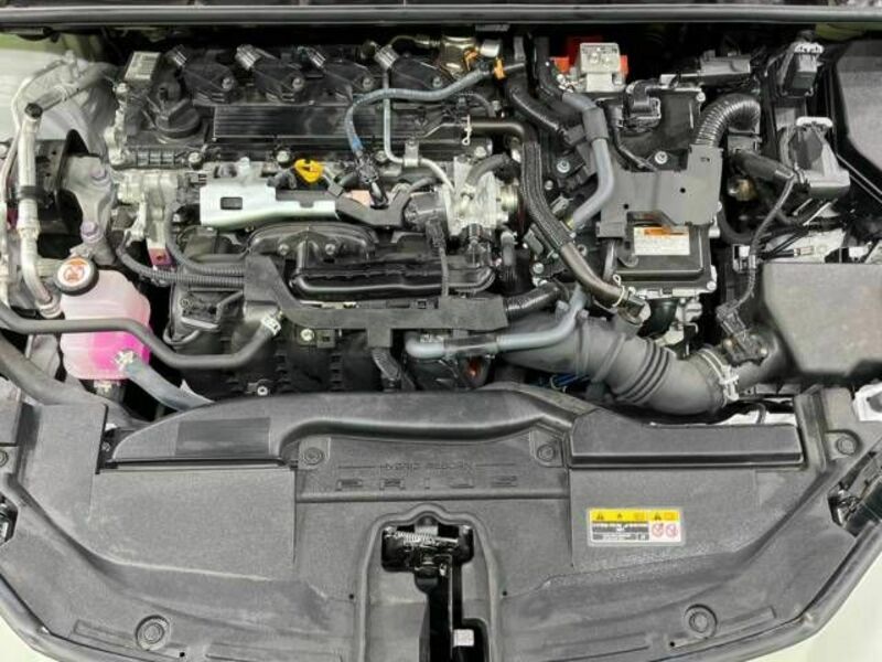 PRIUS-17