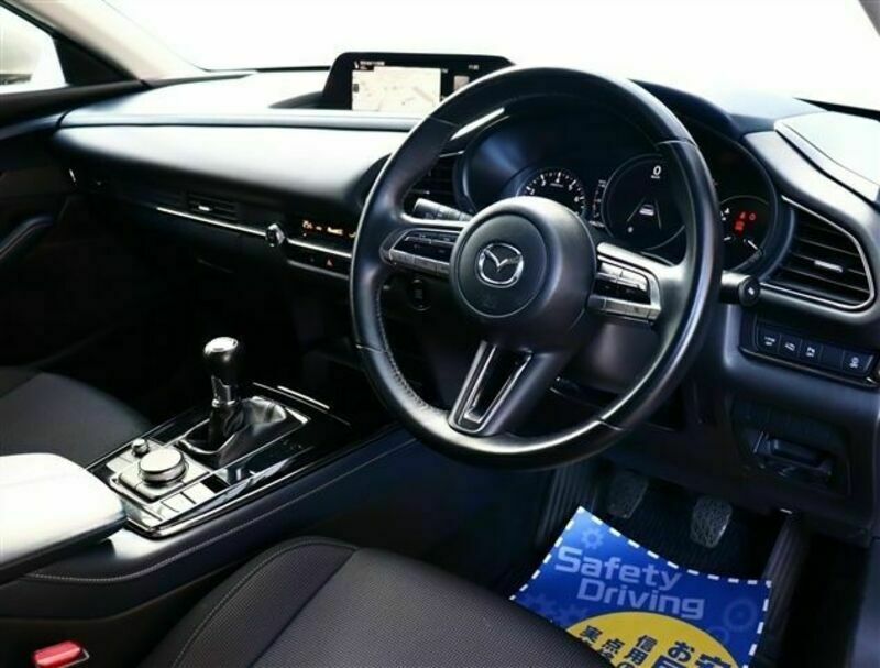 CX-30