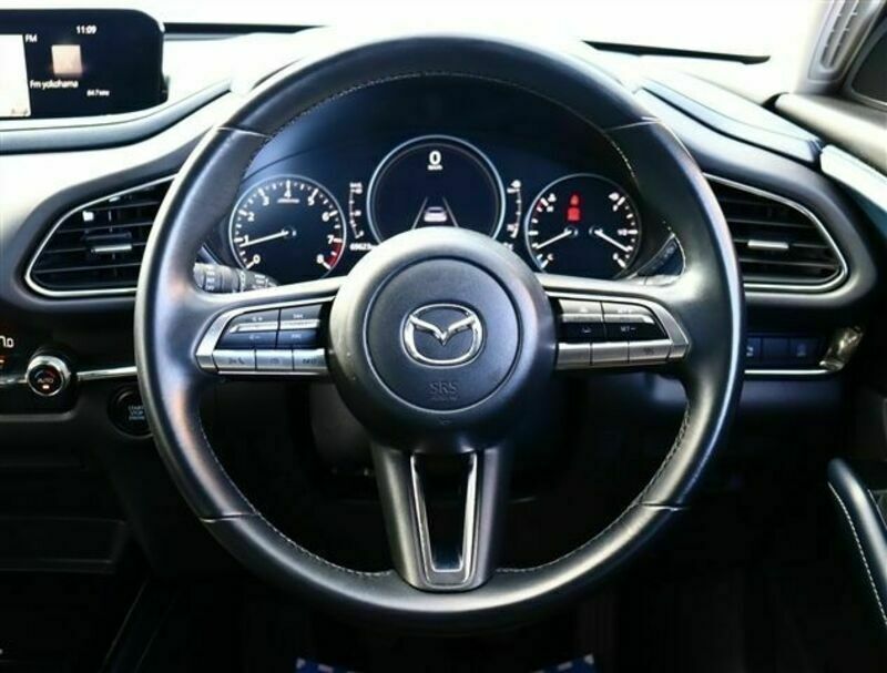 CX-30