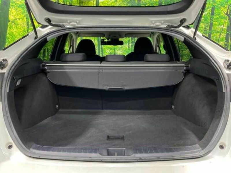 PRIUS-9