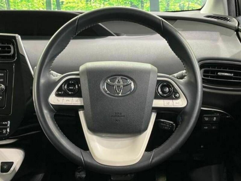 PRIUS-10