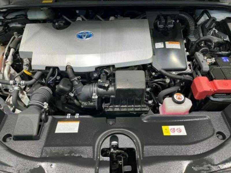 PRIUS-17