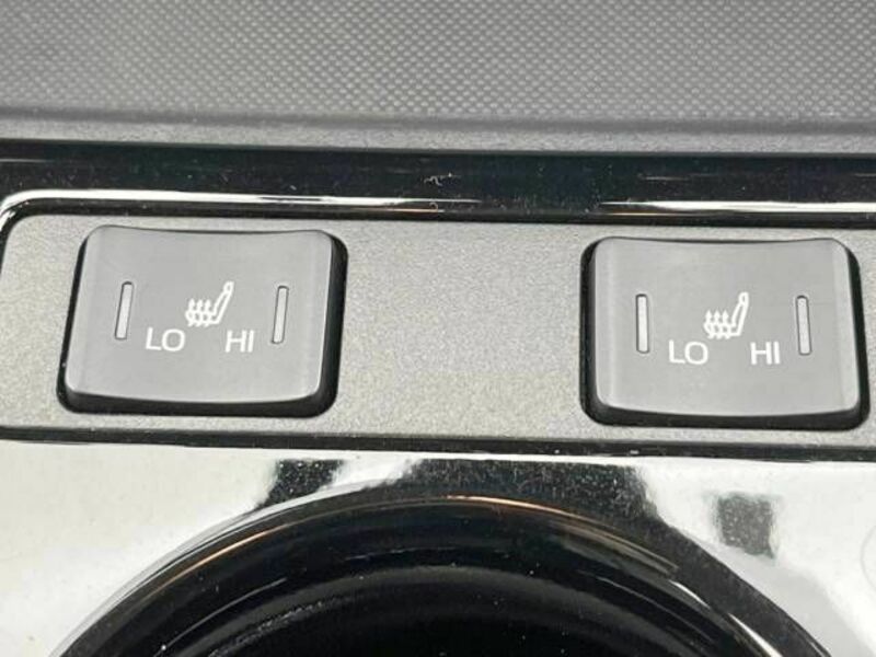 PRIUS-6
