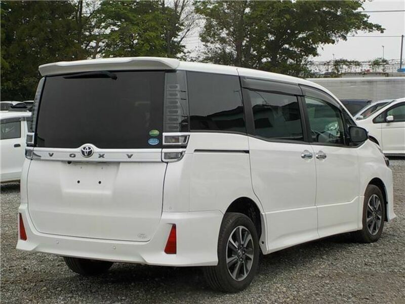 VOXY-10