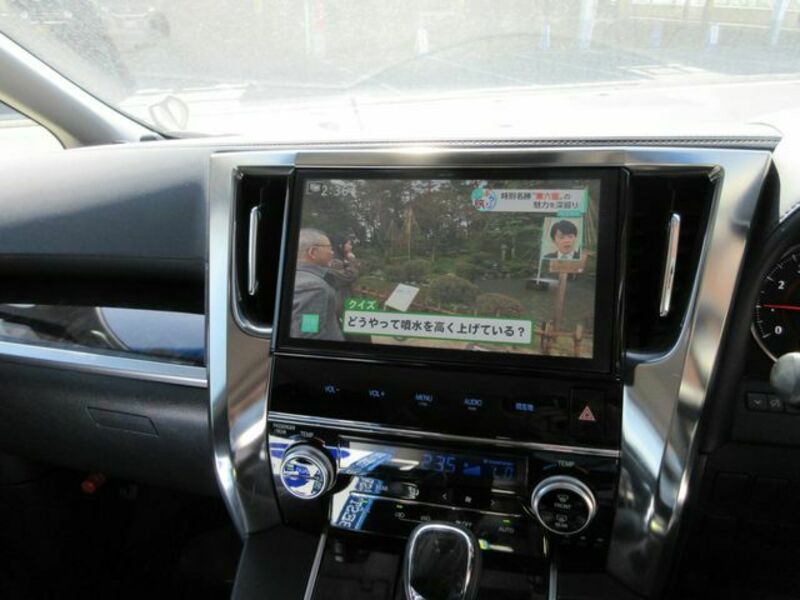 ALPHARD-10