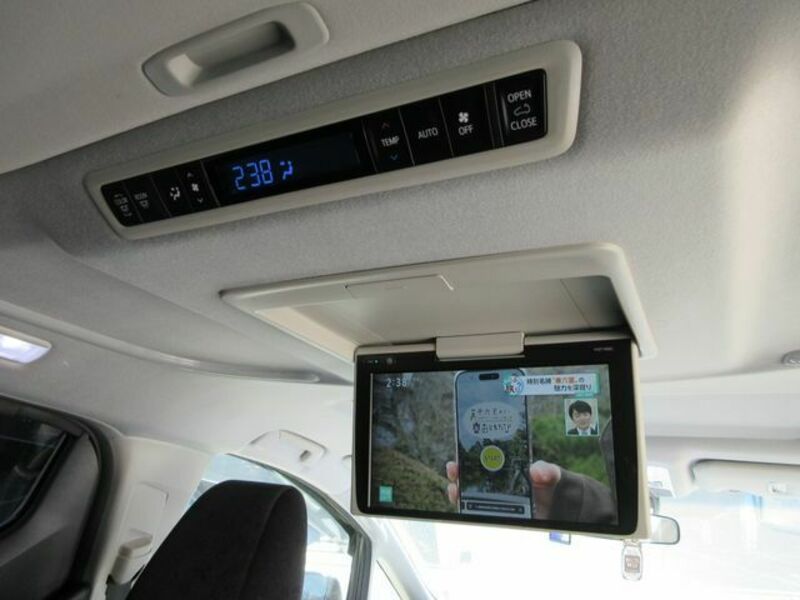 ALPHARD-21