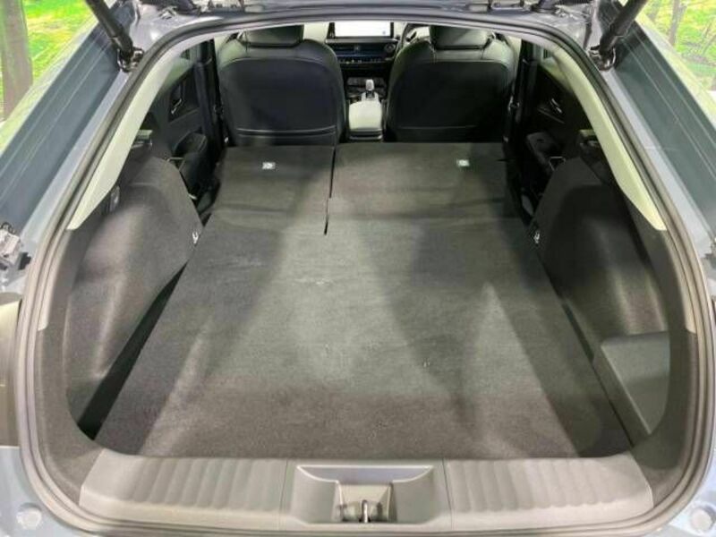 PRIUS-9