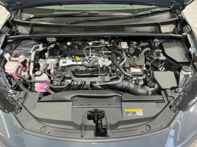 PRIUS-17