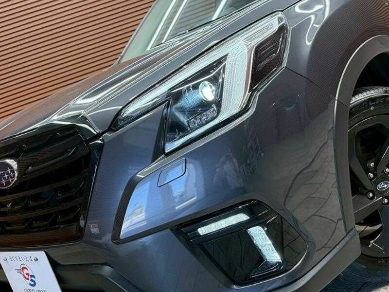 FORESTER-9