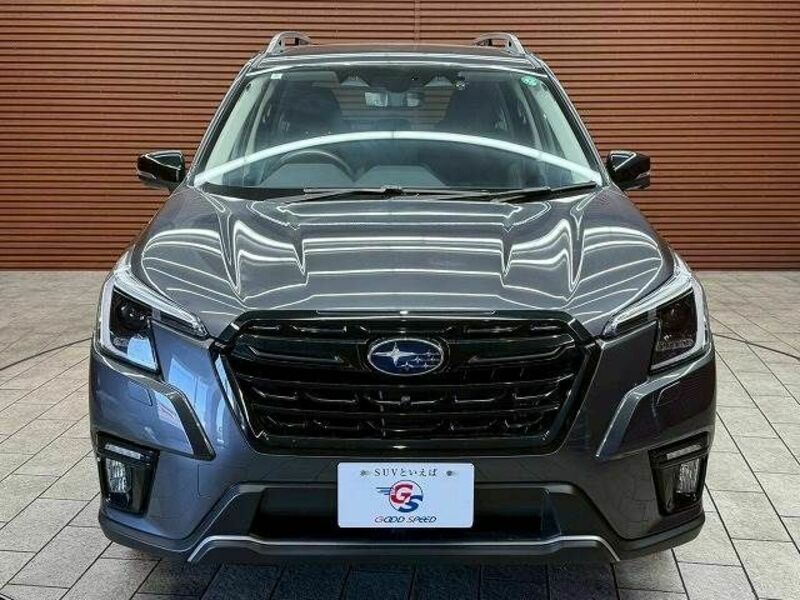 FORESTER-16