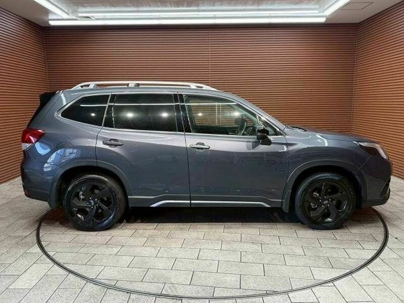 FORESTER-17