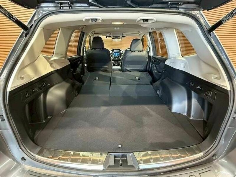 FORESTER-19