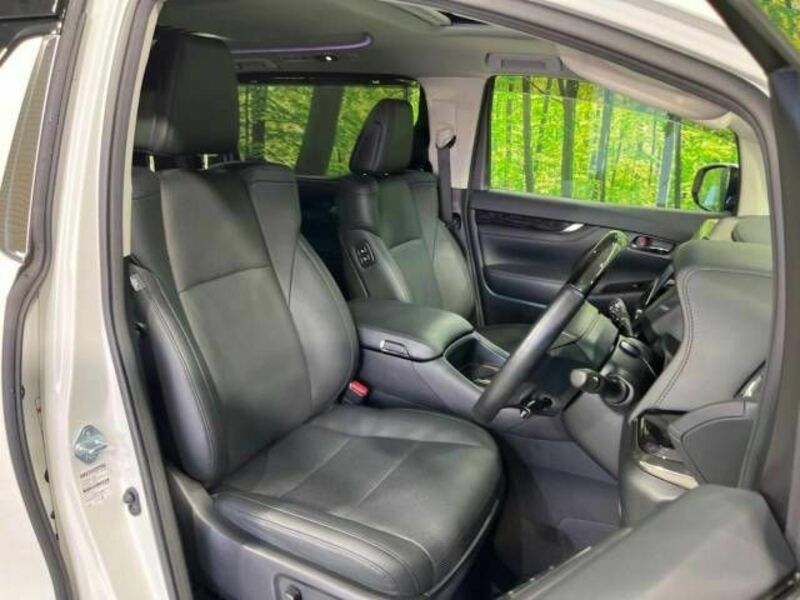 ALPHARD-8