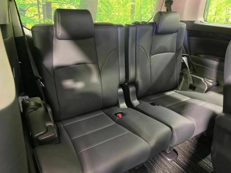 ALPHARD-10