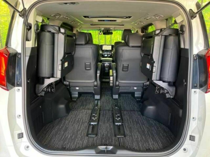 ALPHARD-11