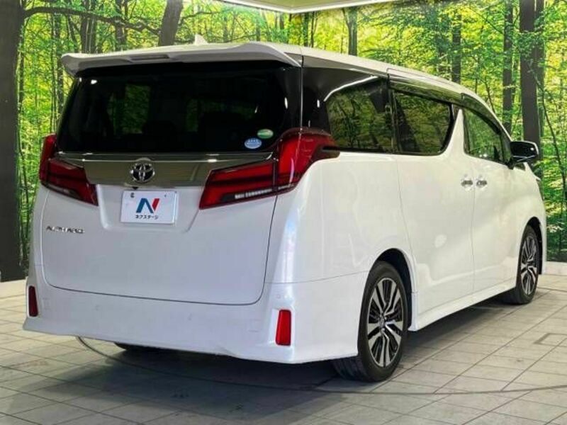 ALPHARD-18