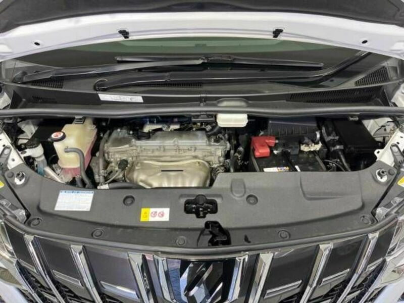 ALPHARD-19
