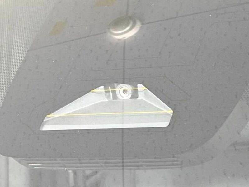 VOXY-3