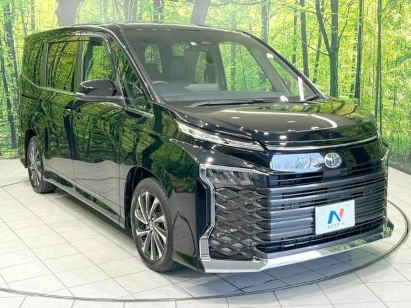 VOXY-17