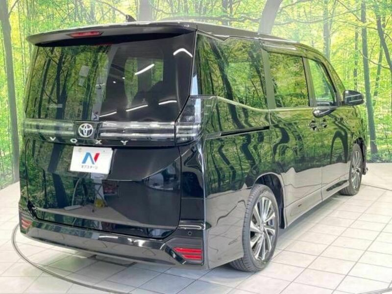 VOXY-18
