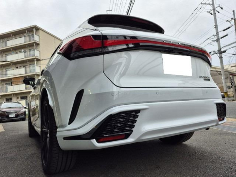 RX-10