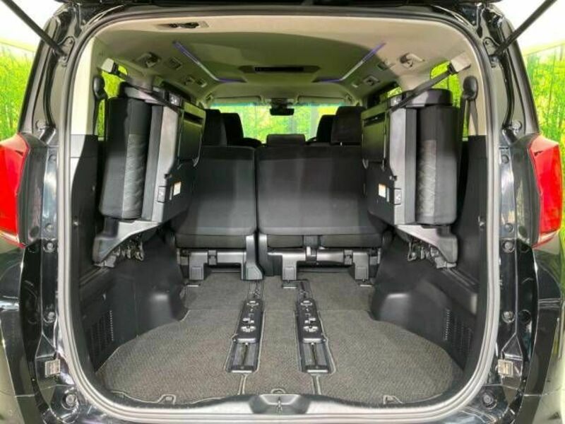 ALPHARD-10
