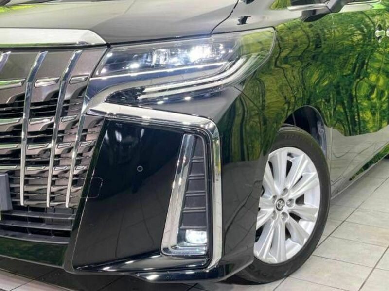 ALPHARD-12