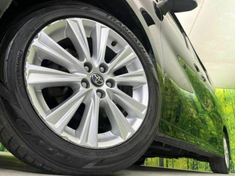 ALPHARD-13