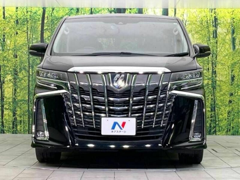 ALPHARD-14