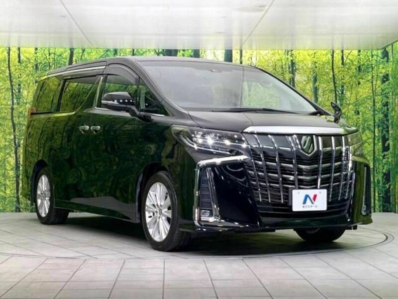 ALPHARD-16