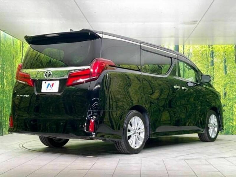 ALPHARD-17
