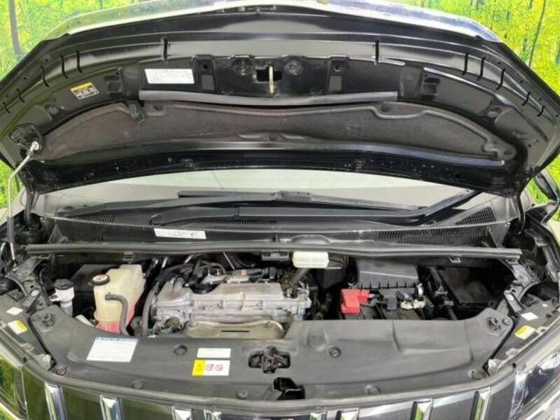 ALPHARD-18