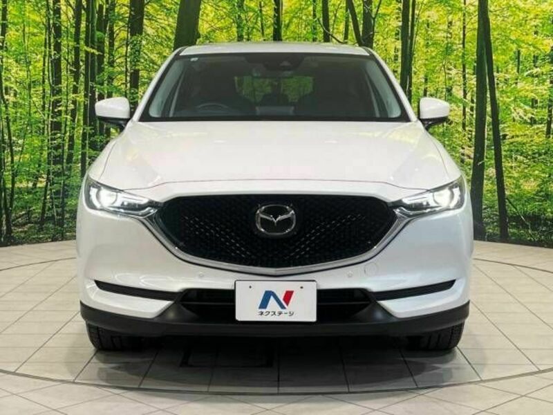 CX-5-13