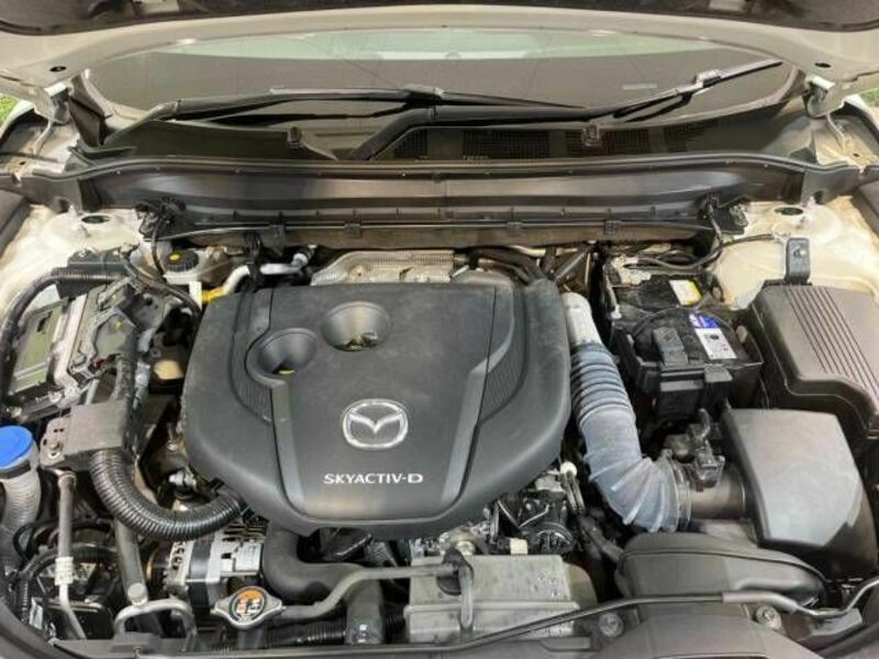 CX-5-17