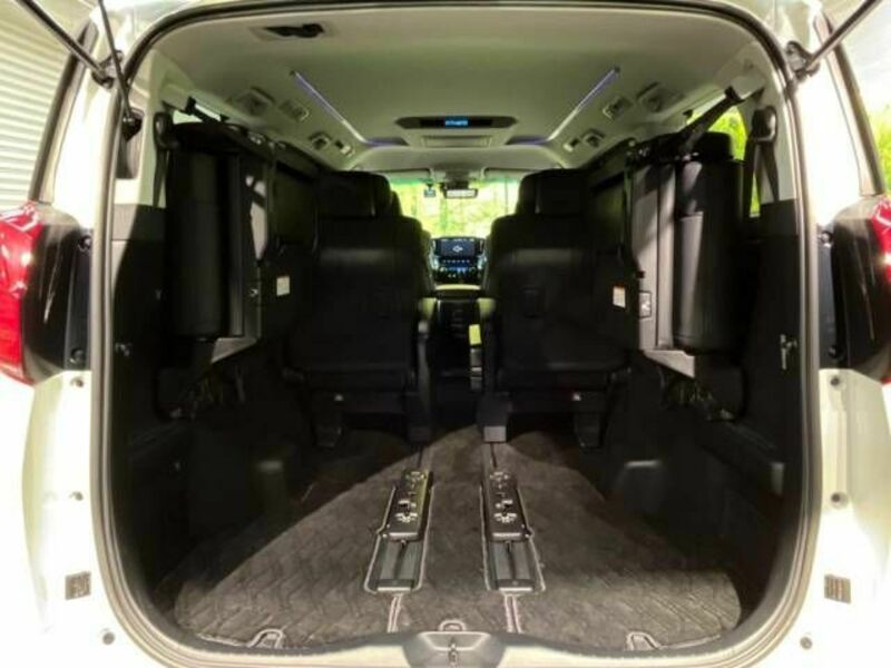 ALPHARD-10