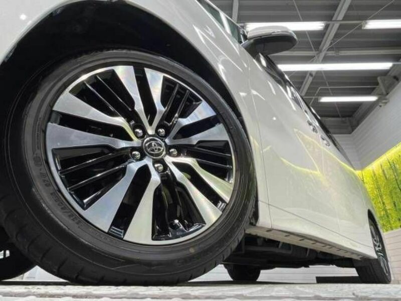 ALPHARD-13