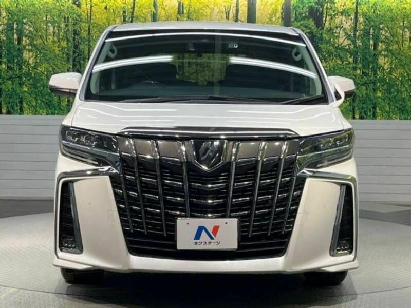 ALPHARD-14