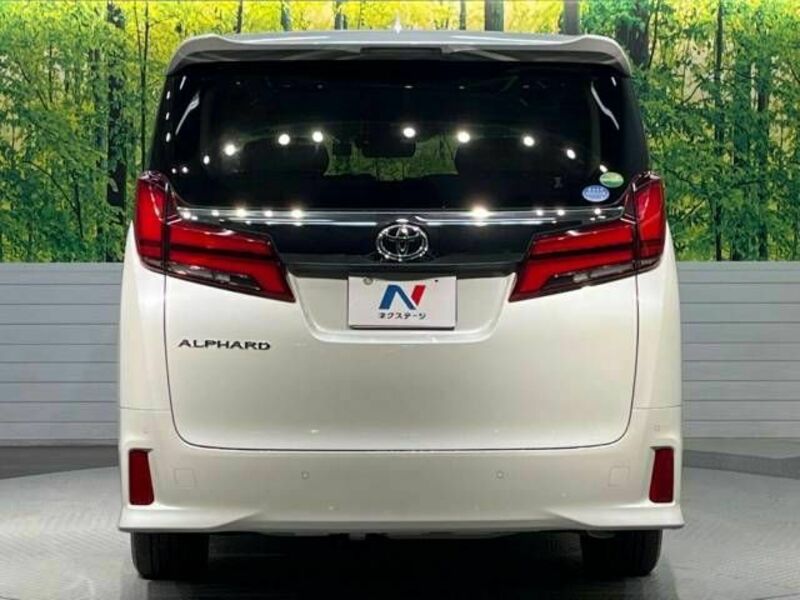 ALPHARD-15