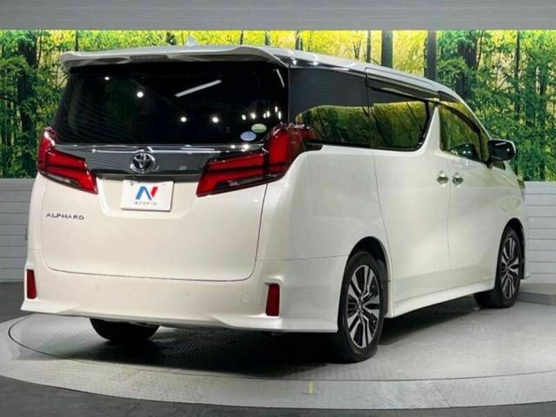 ALPHARD-17