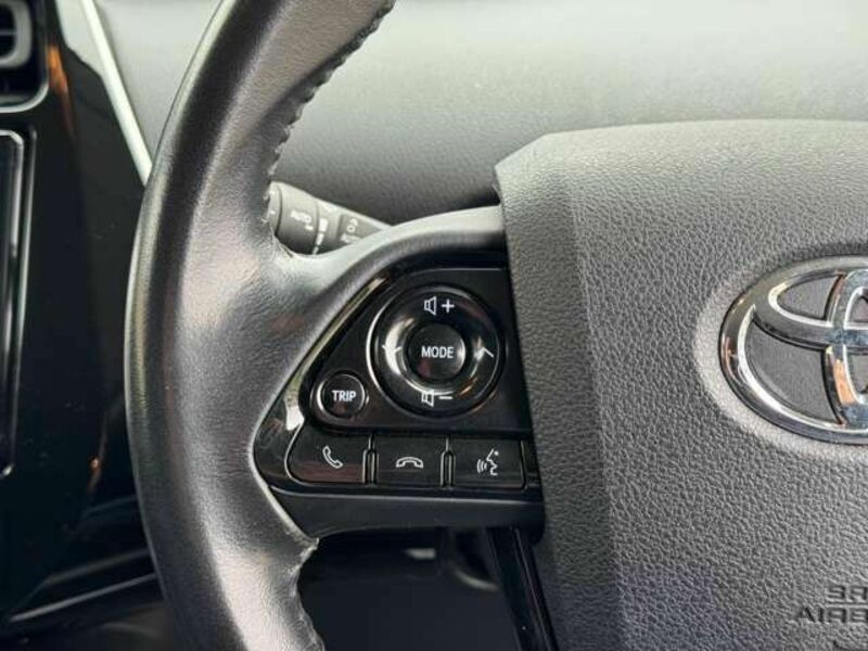 PRIUS-16