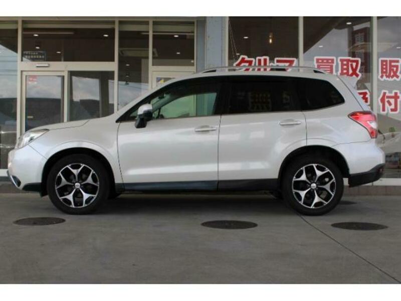 FORESTER-2