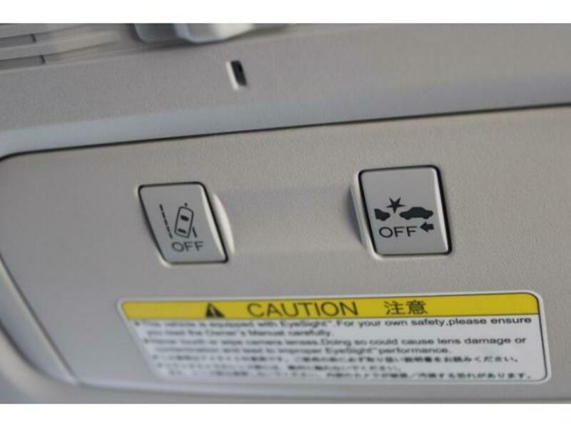 FORESTER-8