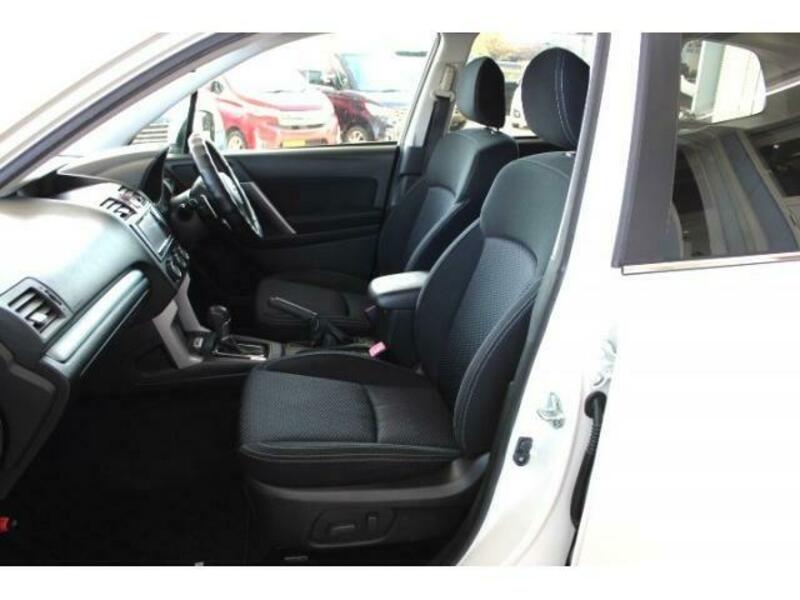 FORESTER-19