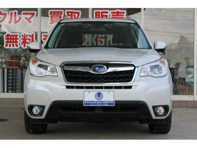 FORESTER-9