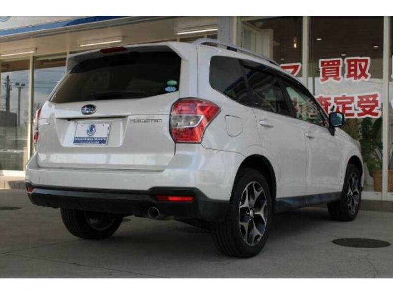 FORESTER-1