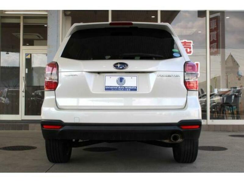 FORESTER-11