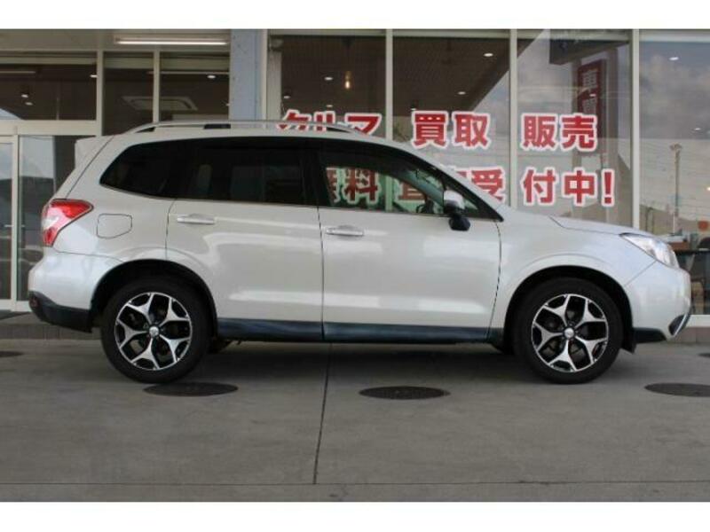 FORESTER-12