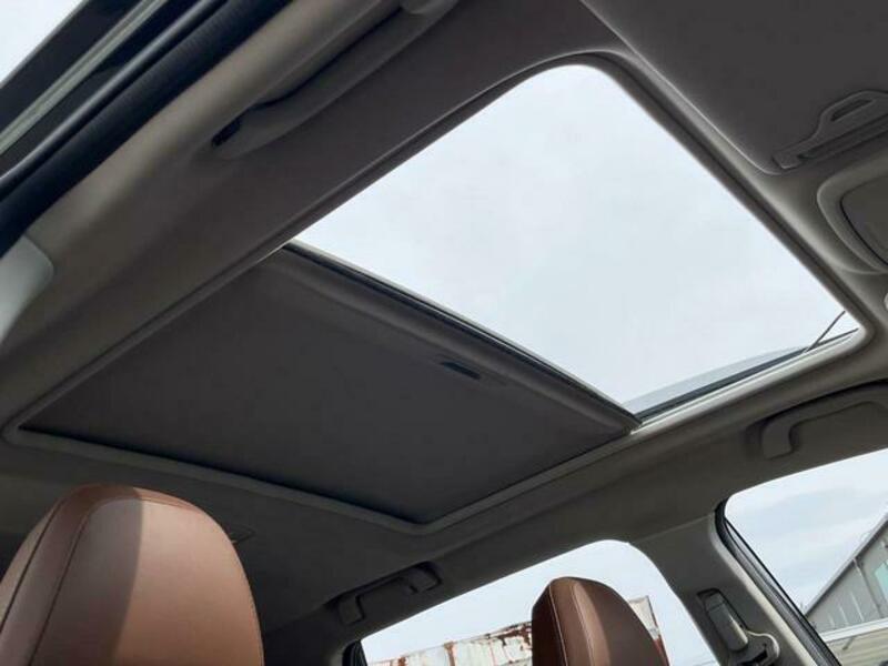 FORESTER-3