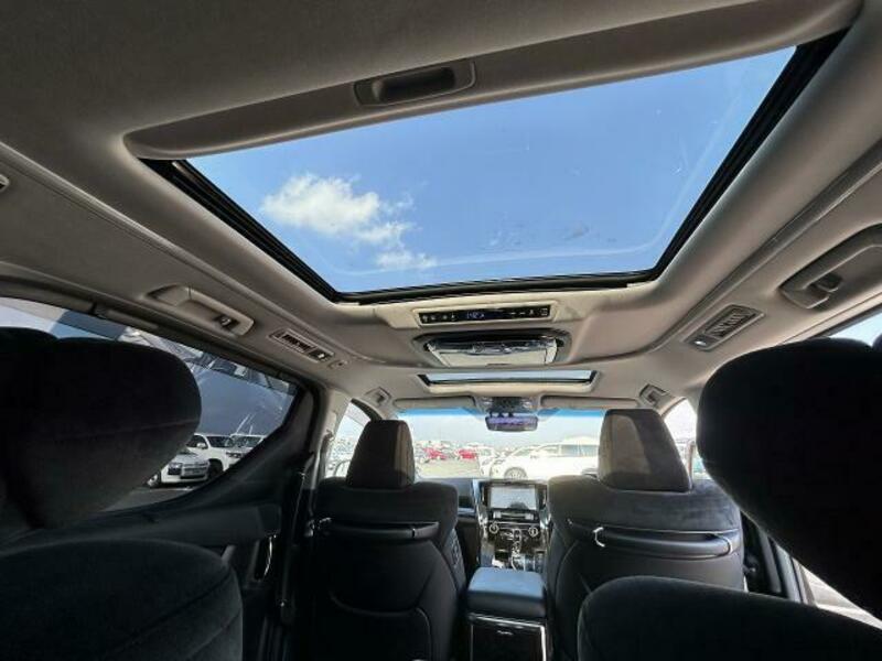 ALPHARD-16