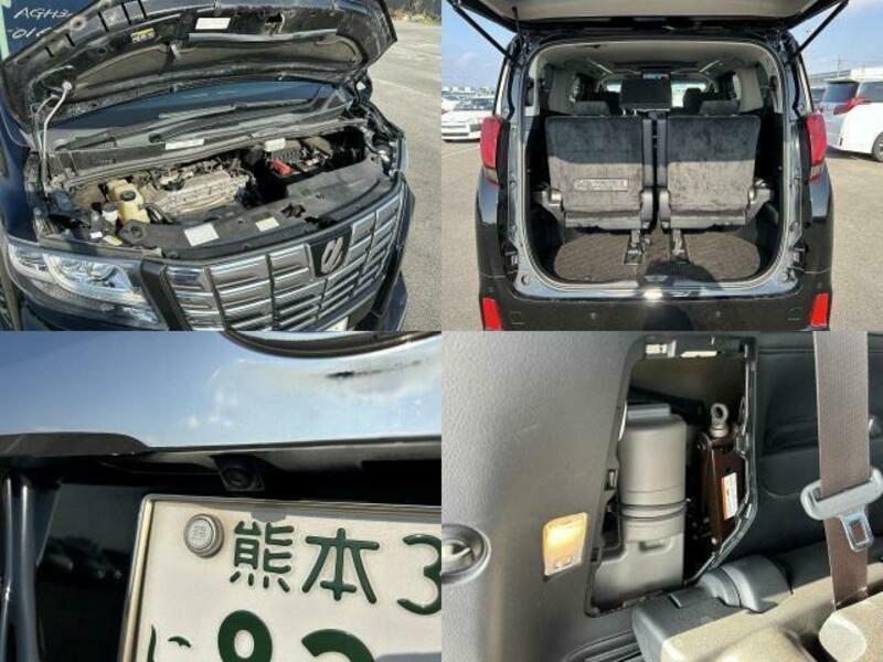 ALPHARD-18